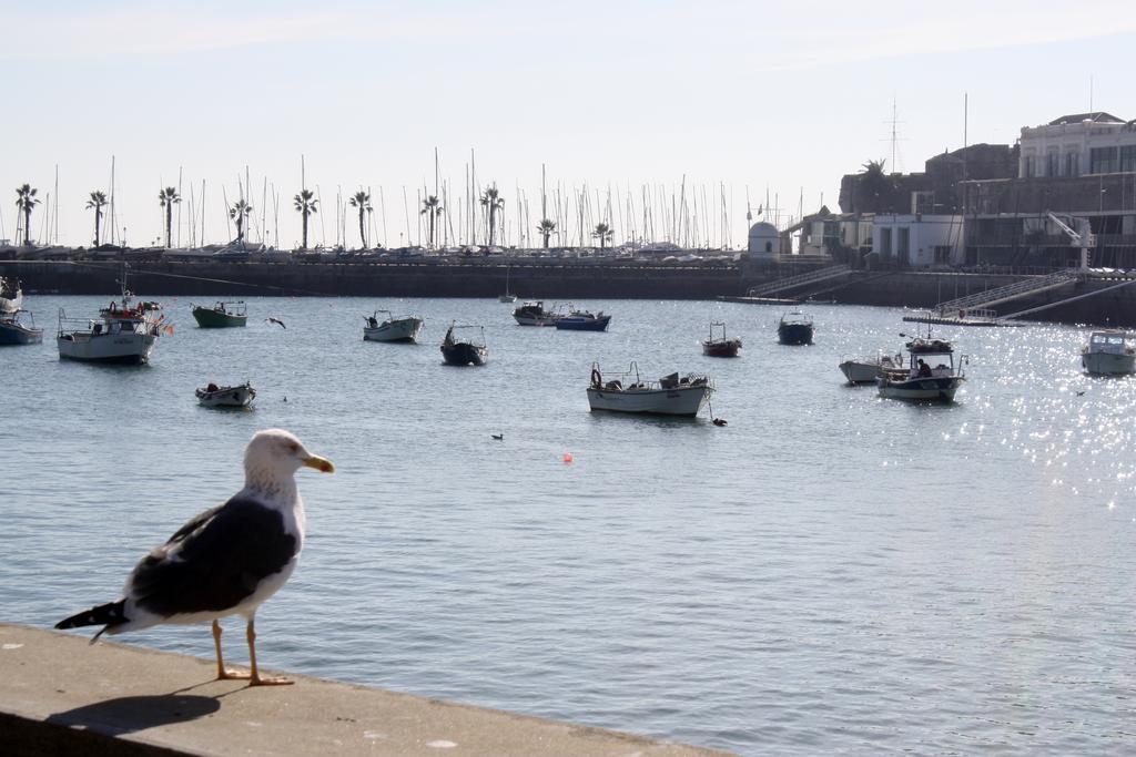 Charming Cascais Apt. חדר תמונה
